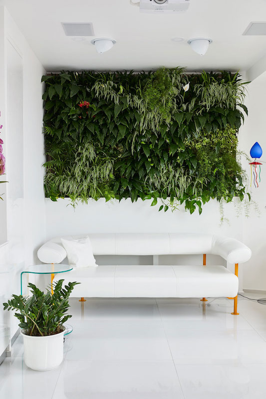 perete de plante in apartament amenajare poze