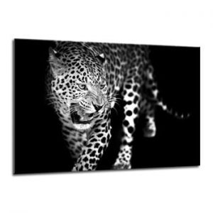 Tablou Styler Canvas Animals Leopard, 70 x 100 cm