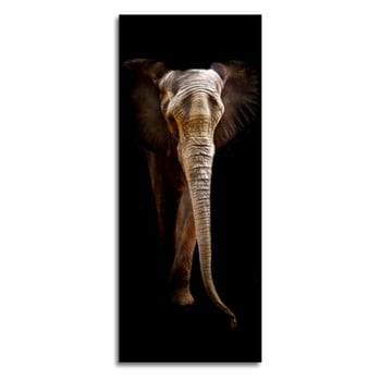 Tablou din sticla Styler Elephant, 125 x 50 cm
